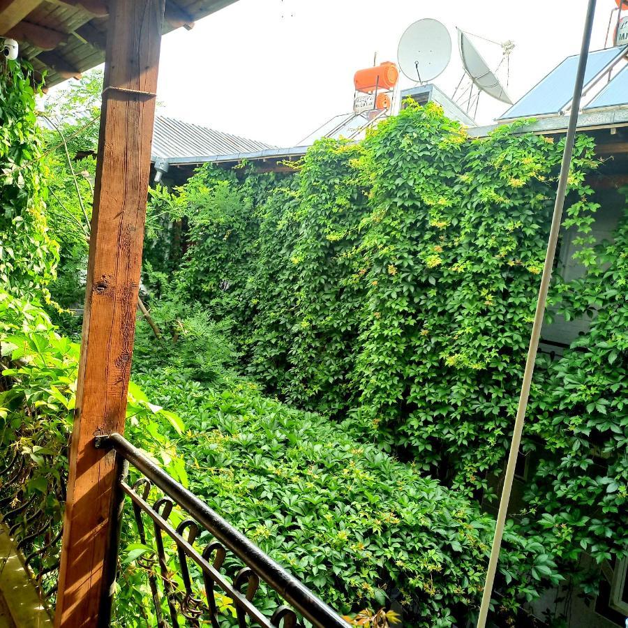 Hotel Botanical Σαμαρκάνδη Εξωτερικό φωτογραφία