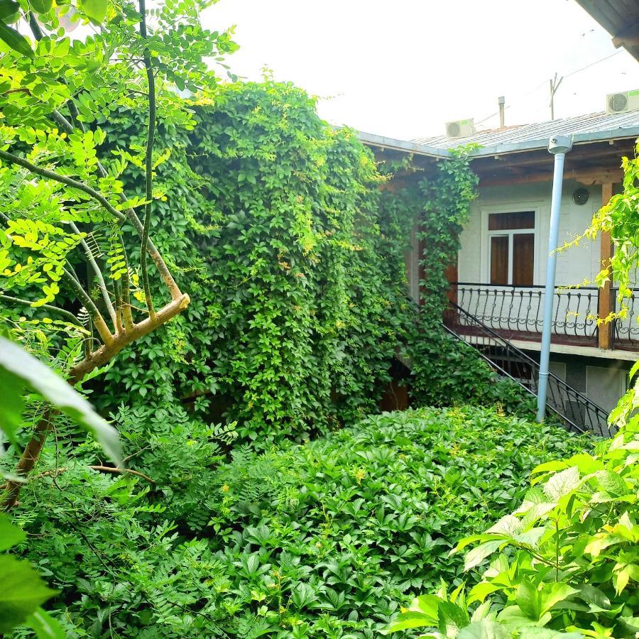 Hotel Botanical Σαμαρκάνδη Εξωτερικό φωτογραφία