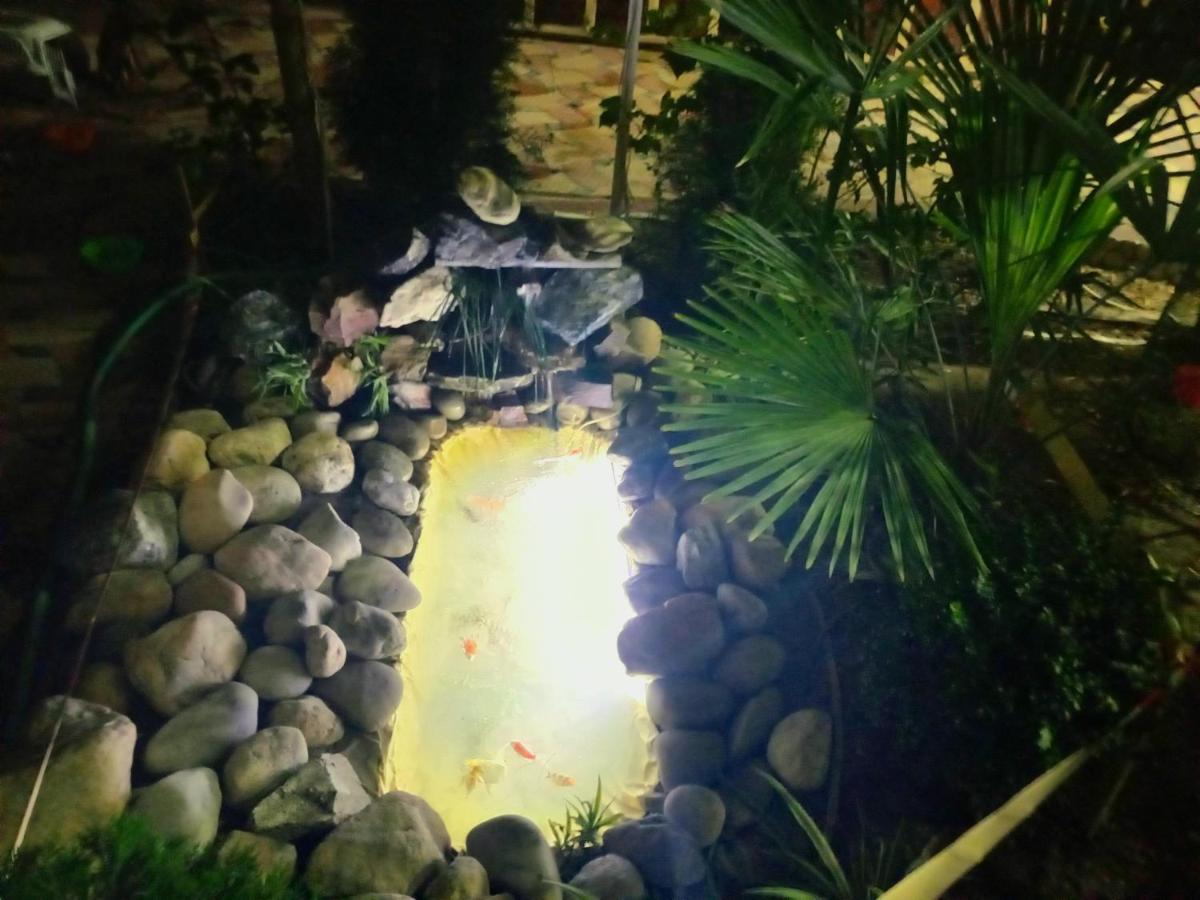 Hotel Botanical Σαμαρκάνδη Εξωτερικό φωτογραφία